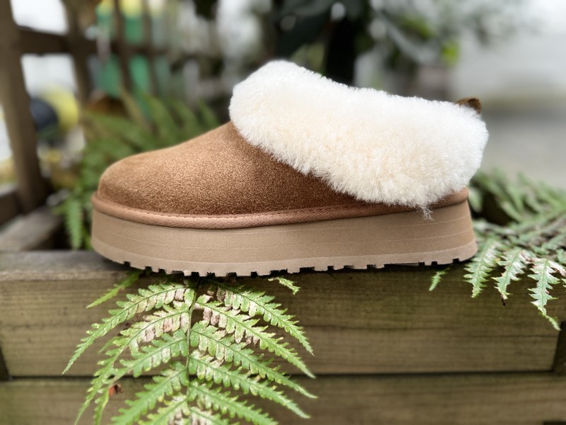 Où trouver des tazzelle à Paris 16 ?